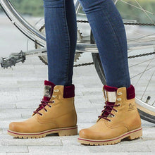 Lade das Bild in den Galerie-Viewer, Panama Jack Damenschuhe Schuhe Stiefelette Boots Vintage Napa Weinrot Limitiert