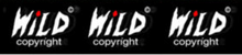 Load image into Gallery viewer, WILD - Glow in the Dark T-Shirt Biker Wolf W-0178
